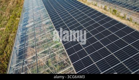 Luftaufnahme moderner Solargewächshäuser mit Photovoltaik-Panels auf Dächern, erneuerbare Energien und nachhaltiges Landwirtschaftskonzept Stockfoto