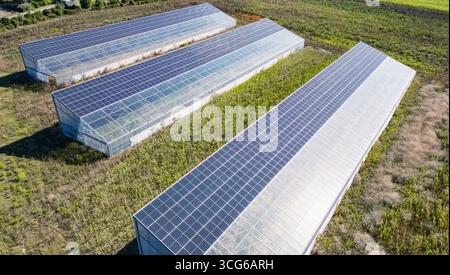 Luftaufnahme moderner Solargewächshäuser mit Photovoltaik-Panels auf Dächern, erneuerbare Energien und nachhaltiges Landwirtschaftskonzept Stockfoto