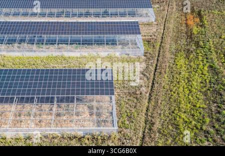 Luftaufnahme moderner Solargewächshäuser mit Photovoltaik-Panels auf Dächern, erneuerbare Energien und nachhaltiges Landwirtschaftskonzept Stockfoto