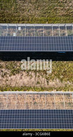 Luftaufnahme moderner Solargewächshäuser mit Photovoltaik-Panels auf Dächern, erneuerbare Energien und nachhaltiges Landwirtschaftskonzept Stockfoto
