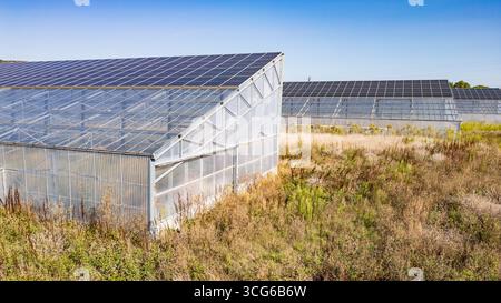 Luftaufnahme moderner Solargewächshäuser mit Photovoltaik-Panels auf Dächern, erneuerbare Energien und nachhaltiges Landwirtschaftskonzept Stockfoto