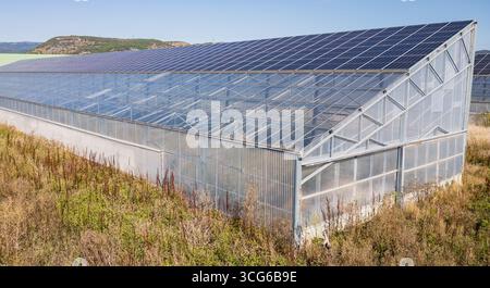 Luftaufnahme moderner Solargewächshäuser mit Photovoltaik-Panels auf Dächern, erneuerbare Energien und nachhaltiges Landwirtschaftskonzept Stockfoto