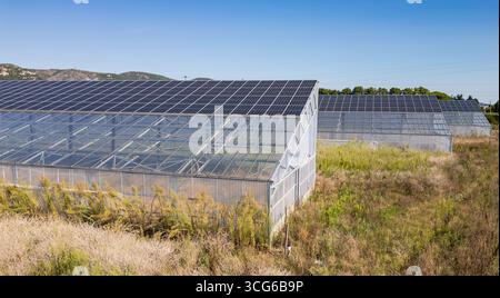 Luftaufnahme moderner Solargewächshäuser mit Photovoltaik-Panels auf Dächern, erneuerbare Energien und nachhaltiges Landwirtschaftskonzept Stockfoto