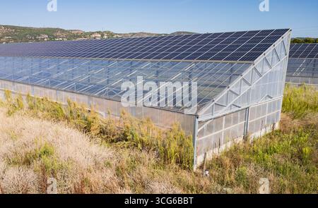 Luftaufnahme moderner Solargewächshäuser mit Photovoltaik-Panels auf Dächern, erneuerbare Energien und nachhaltiges Landwirtschaftskonzept Stockfoto