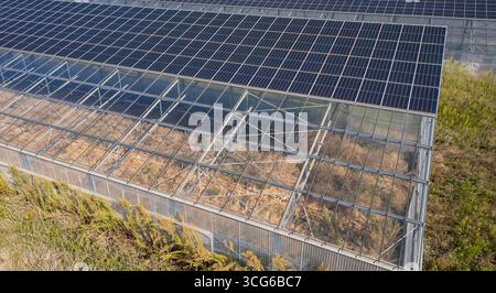 Luftaufnahme moderner Solargewächshäuser mit Photovoltaik-Panels auf Dächern, erneuerbare Energien und nachhaltiges Landwirtschaftskonzept Stockfoto