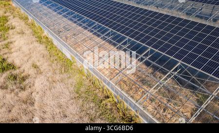 Luftaufnahme moderner Solargewächshäuser mit Photovoltaik-Panels auf Dächern, erneuerbare Energien und nachhaltiges Landwirtschaftskonzept Stockfoto