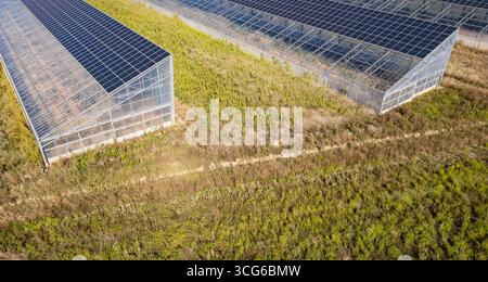 Luftaufnahme moderner Solargewächshäuser mit Photovoltaik-Panels auf Dächern, erneuerbare Energien und nachhaltiges Landwirtschaftskonzept Stockfoto