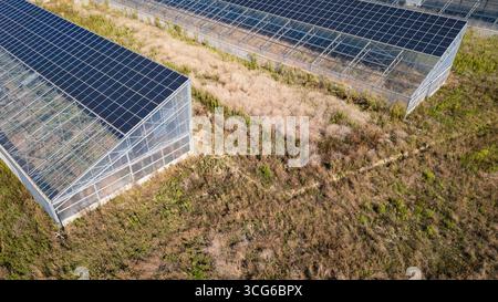 Luftaufnahme moderner Solargewächshäuser mit Photovoltaik-Panels auf Dächern, erneuerbare Energien und nachhaltiges Landwirtschaftskonzept Stockfoto