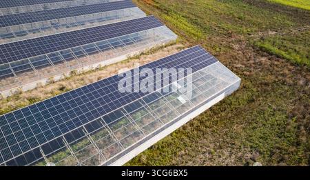 Luftaufnahme moderner Solargewächshäuser mit Photovoltaik-Panels auf Dächern, erneuerbare Energien und nachhaltiges Landwirtschaftskonzept Stockfoto