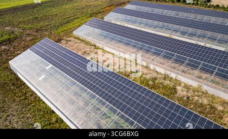 Luftaufnahme moderner Solargewächshäuser mit Photovoltaik-Panels auf Dächern, erneuerbare Energien und nachhaltiges Landwirtschaftskonzept Stockfoto