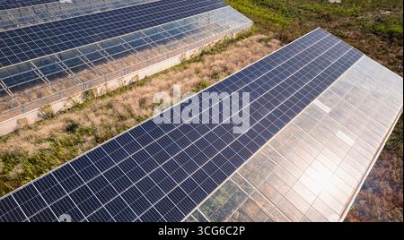 Luftaufnahme moderner Solargewächshäuser mit Photovoltaik-Panels auf Dächern, erneuerbare Energien und nachhaltiges Landwirtschaftskonzept Stockfoto