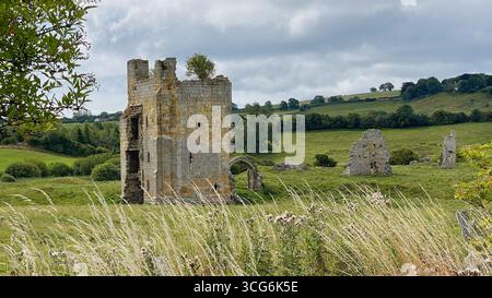 Ruinen von Ravensworth Castle, ein mittelalterlicher Steinturm und Überreste in der sanften grünen Landschaft von North Yorkshire, England, unter einem bewölkten Himmel Stockfoto