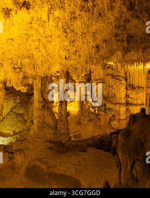 Dichte goldene Stalaktiten und Kalksteinsäulen in der Neptun-Grotte, Capo Caccia, Sardinien, beleuchtet unter sanfter unterirdischer Beleuchtung. Stockfoto