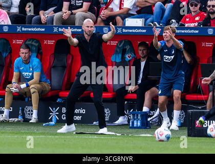 Leverkusen, BayArena, 07.01.2025: Cheftrainer Christian Ilzer von Hoffenheim reagiert bei 1.Bundesliga Bayer 04 Leverkusen gegen TSG 1899 Hoffenheim. Stockfoto