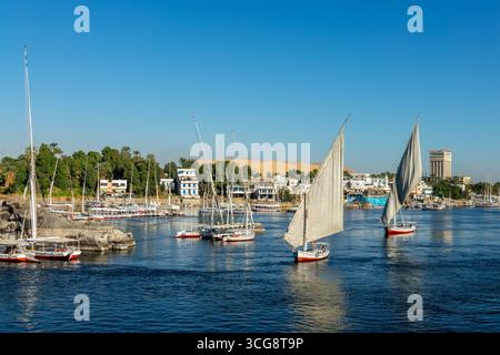 Feluccas (traditionelle ägyptische Segelboote) auf dem Nil in Assuan, Ägypten Stockfoto