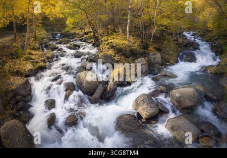 Das klare Wasser des Riquerna-Flusses stürzt über Felsen, umgeben von goldenen Herbstblättern in La Vall Fosca, Katalonien Stockfoto