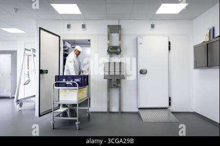ALKMAAR - Vorbereitungen für ein Berufsbildungsprogramm für Lebensmittel werden getroffen, um den Beginn des neuen Schuljahres vorzubereiten. ANP KOEN VAN WEEL niederlande aus - belgien aus Stockfoto