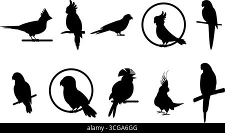 Papageiensilhouetten. Isolierte Papageien auf Stäben und im Ring, Vögel für Käfige. Dekorative Wandaufkleber Vorlagen, Schneideelemente, Vektor Set Original Stock Vektor