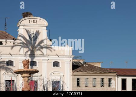 Das Storchennest befindet sich auf einem Uhrturm auf der plaza de España in merida, spanien und wirft einen Palmenschatten auf die Fassade des Gebäudes Stockfoto