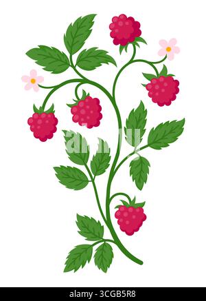 Himbeerzweig mit Reifen roten Früchten, grünen Blättern und zarten rosa Blüten, flache Illustration isoliert auf weiß Stock Vektor