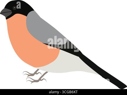 Ein sitzender Bullfink im Cartoon-Stil. Vektorillustration eines schönen Bullfinks isoliert auf einem weißen Hintergrund. Stock Vektor