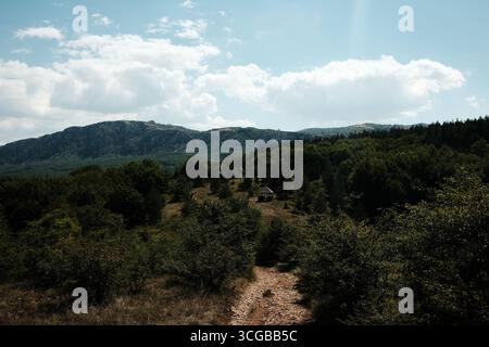 Berglandschaft in Stara Planina mit einem kleinen hölzernen Pavillon umgeben von grünem Wald unter einem wolkenblauen Himmel. Serbien Land. Stockfoto