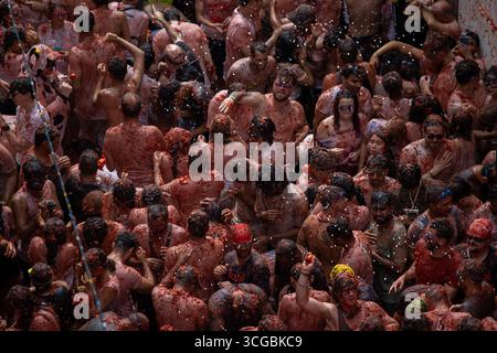 Madrid, Spanien. August 2025. 78. Jährliches Festival „La Tomatina“ in Buñol, Valencia. Die Organisatoren der Veranstaltung haben die Markteinführung von 120 Tonnen Tomaten bestätigt, die in sechs Lkws verteilt werden. Quelle: D. Canales Carvajal/Alamy Live News Stockfoto