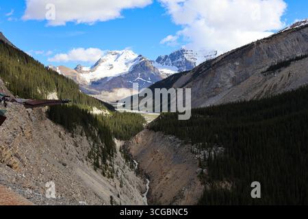 Columbia Icefield Skywalk Glasbrücke mit Blick auf Gletscher und zerklüftete Klippen entlang des Icefields Parkway im Jasper National Park. Stockfoto