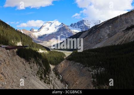 Columbia Icefield Skywalk Glasbrücke mit Blick auf Gletscher und zerklüftete Klippen entlang des Icefields Parkway im Jasper National Park. Stockfoto