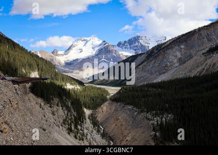 Columbia Icefield Skywalk Glasbrücke mit Blick auf Gletscher und zerklüftete Klippen entlang des Icefields Parkway im Jasper National Park. Stockfoto