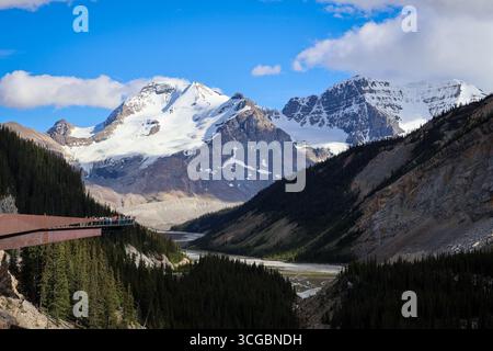 Columbia Icefield Skywalk Glasbrücke mit Blick auf Gletscher und zerklüftete Klippen entlang des Icefields Parkway im Jasper National Park. Stockfoto