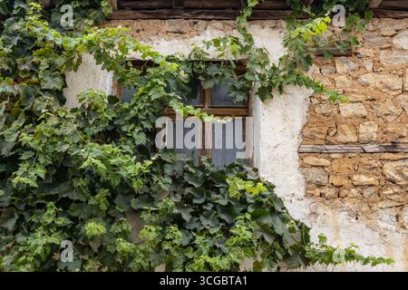 Kuratica, Ohrid, Nordmazedonien. Efeu wächst auf einem alten Steingebäude. Stockfoto