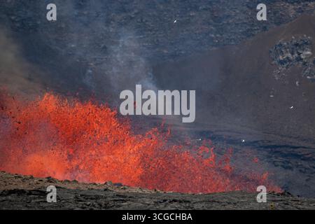 Vier Weißschwanztropivögel oder koa’e kea, Phaethon lepturus, fliegen um heiße Lava herum, die aus einem Lüftungsschlitz im Halemaumau-Krater im Kilauea-Vulkan auf Hawaii strömt Stockfoto