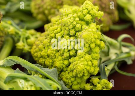Eine Nahaufnahme des grünen Romanesco Brokkoli auf einem lokalen Bauernmarkt. Stockfoto