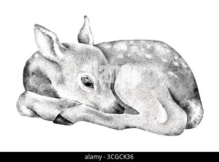 Handgezeichnete Grafik-Tusche-Illustration eines liegenden Rehs, isoliert auf weißem Hintergrund. Vintage-Schwarzweiß-Wildnis-Kunstwerke, geeignet für Bücher, S. Stockfoto