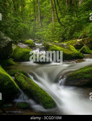Smoky Mountain Cascade Stockfoto