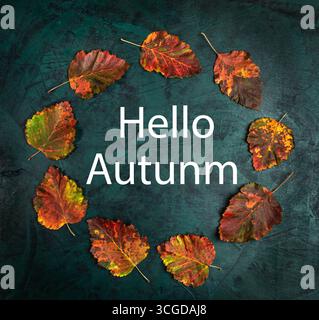 Leuchtende Herbstblätter in Orange-, Rot- und Grüntönen sind künstlerisch im Kreis auf grüner, dunkler Textur angeordnet und schaffen so saisonales Ambiente Stockfoto