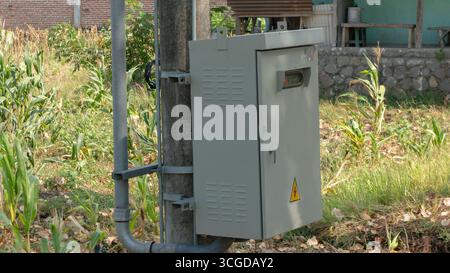 Elektrische Schalttafel für den Außenbereich an einem Betonmast inmitten üppiger grüner Felder und Maispflanzen in ländlicher Umgebung. Wichtige Infrastruktur. Stockfoto