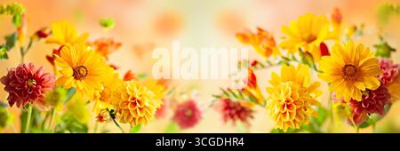Nahaufnahme blühender gelber und roter Blumen in einem bunten Garten, die in warmem, sanftem Licht leuchten. Stockfoto
