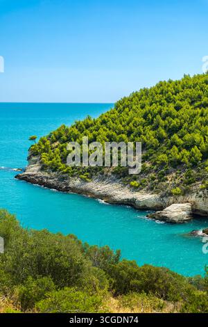 Malerischer Blick auf die Küste von Vieste in Apulien, Süditalien, mit türkisfarbenem Wasser und üppiger Vegetation der mediterranen Landschaft Stockfoto