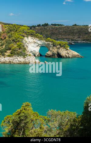 Malerischer Blick auf Architiello di San Felice, eine natürliche BogenFelsformation in Vieste, Gargano, Apulien, Italien, umgeben von türkisfarbenem Wasser der Adria Stockfoto