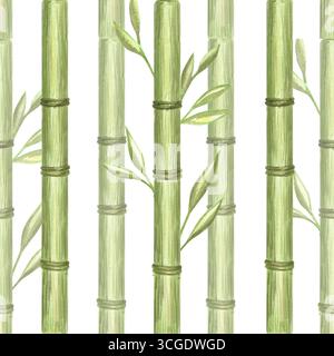 Grüne Bambusstiele mit nahtlosem Muster. Botanisches Grün Aquarellillustration. Handgezogener Zweig für umweltfreundliches Design. Orientalischer Regenwald Stockfoto