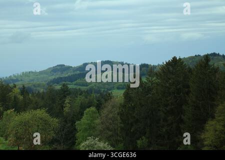 Riesige, bewaldete Hügel unter einem strukturierten, bewölkten Himmel Stockfoto