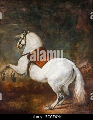 Diego Velazquez Gemälde, weißes Pferd, Öl auf Leinwand, 1634 Stockfoto