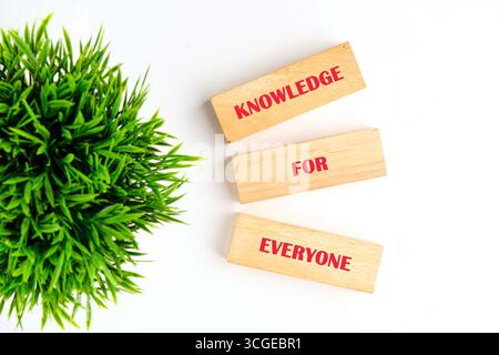 „Lernen für alle“-Konzept. WORTWAHL FÜR JEDEN aus Holzblöcken auf weißem Hintergrund mit grüner Pflanze, Blick von oben. Stockfoto