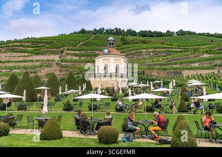 Cafe, Belvedere und Weinberg des Sächsischen Staatsweingut Schloss Wackerbarth oder Wackerbarths Ruh’ in Niederlößnitz, Radebeul, Sachsen, Deutschland Stockfoto