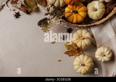 Herbststillleben mit Kürbissen, Gewürzen und trockenen Blättern. Stockfoto