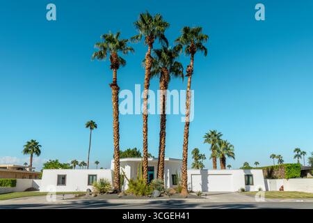 Moderne Architektur aus der Mitte des Jahrhunderts und Palmen in Palm Springs, Kalifornien Stockfoto