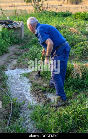 Ein Gärtner nutzt traditionelle Methoden, um sein Bio-Grundstück in Pallares zu bewässern und die Sommerkulturen mit Sorgfalt und Ahnenwissen zu pflegen. Stockfoto
