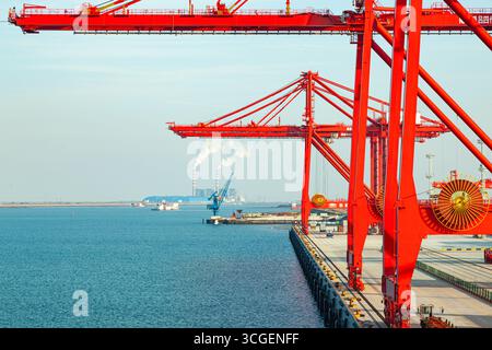 Containerterminal mit Kränen und Containern auf dem Territorium im Seehafen Nantong, China. Stockfoto
